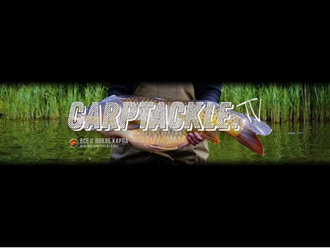 CARPTACKLE TV