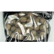 Замороженные бойлы Strike Baits BLACK SECRET Frozen Boilies 24mm