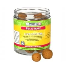 Жесткие тонущие бойлы 10мм CCMoore Hard Hookbaits Live System 10mm